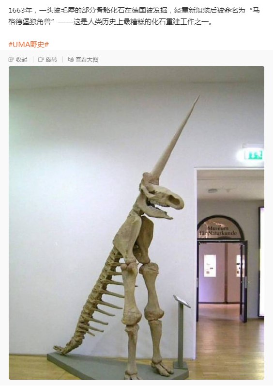 🤔from 平壤卫视