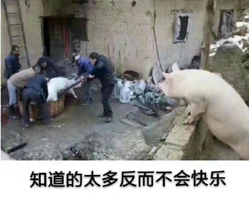 via Kame