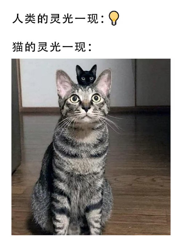 via 7号沙雕网友
