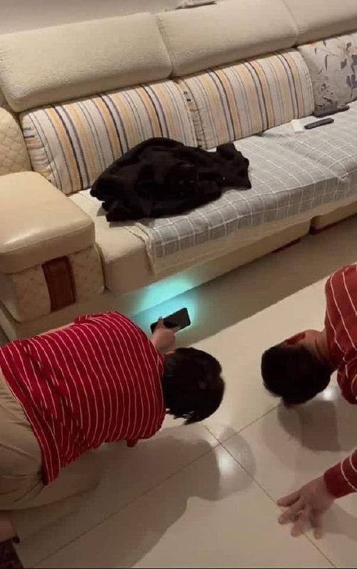 在找啥呢？在找啥呢？