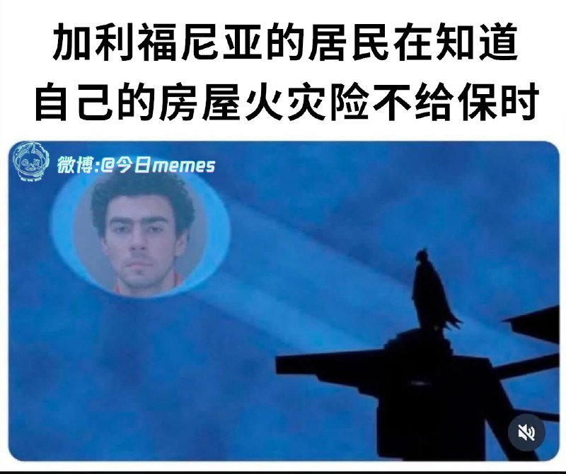 香菇菜鸡: 