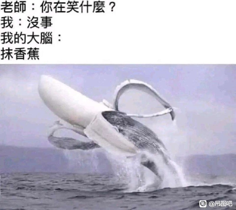 from 美图与沙雕
