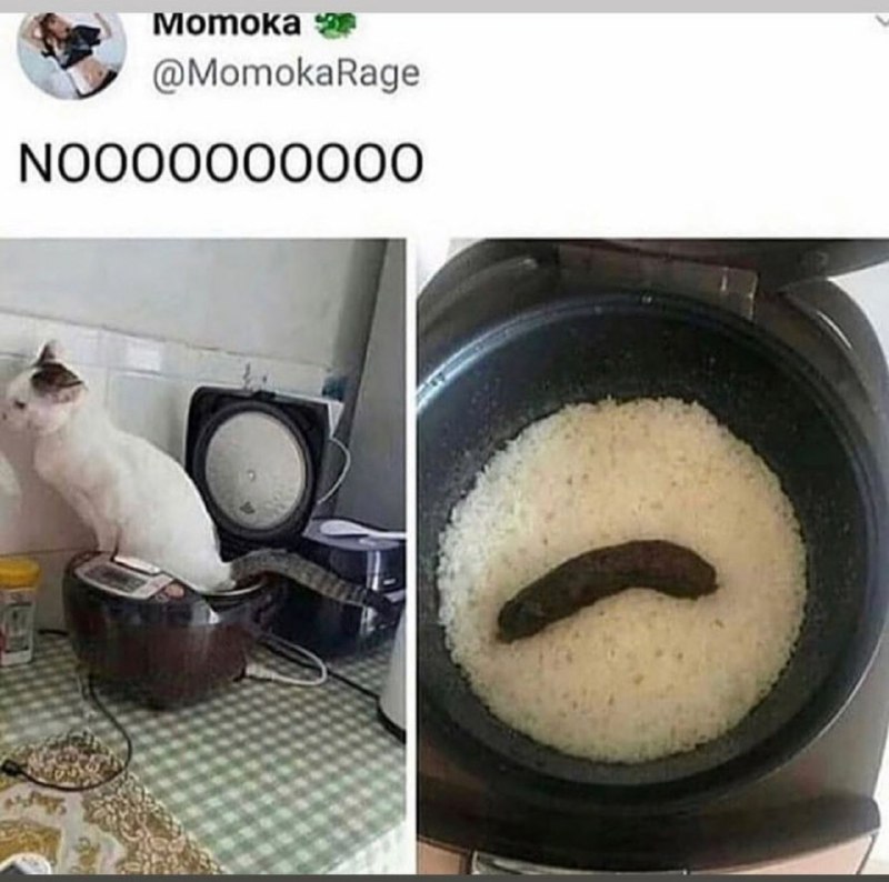 下饭