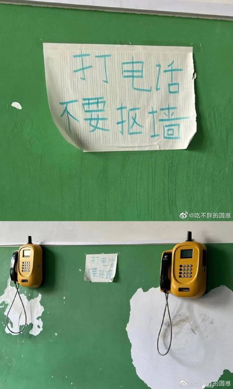 from 平壤卫视