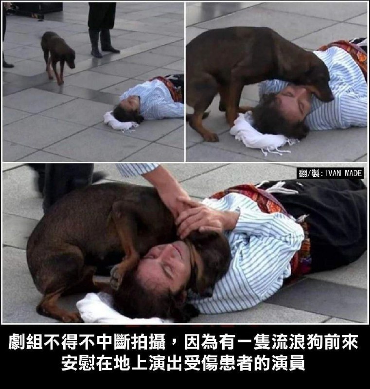via (=^-ω-^=) ㅤ