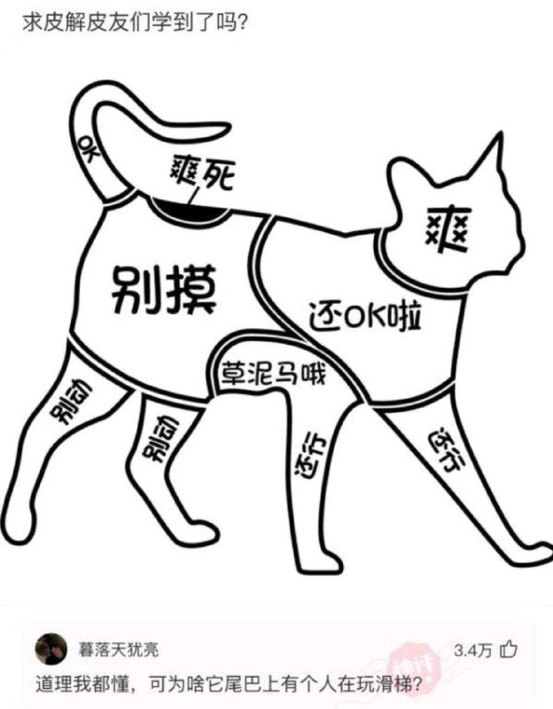 from 美图与沙雕