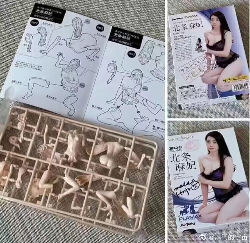 ？from 平壤卫视