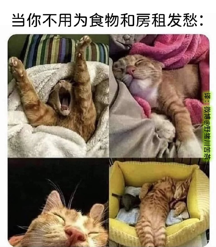 via 匿名from 沙雕新闻墙