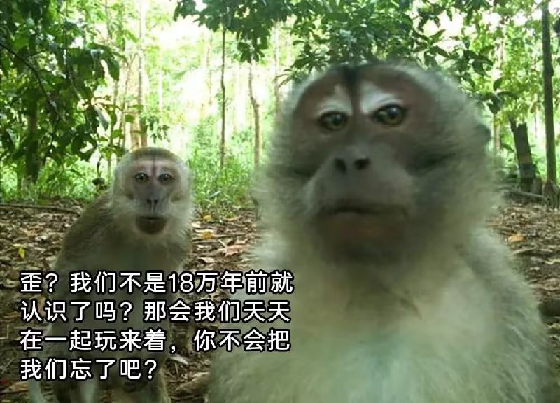 via 7号沙雕网友