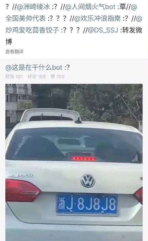 ？from 平壤卫视