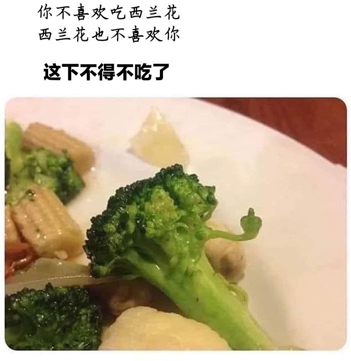 吃吃吃(via (=^-ω-^=) ㅤ