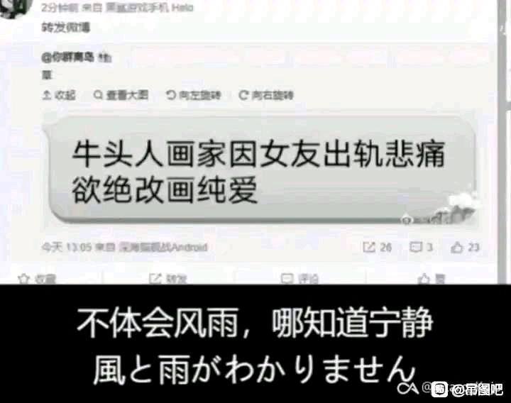 via 张某 犯罪嫌疑人