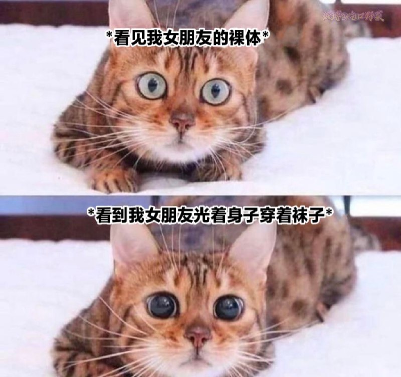 from 煎蛋无聊图
