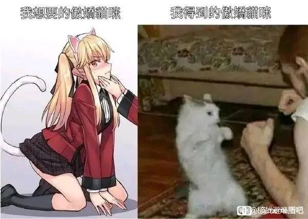 via 张某 犯罪嫌疑人