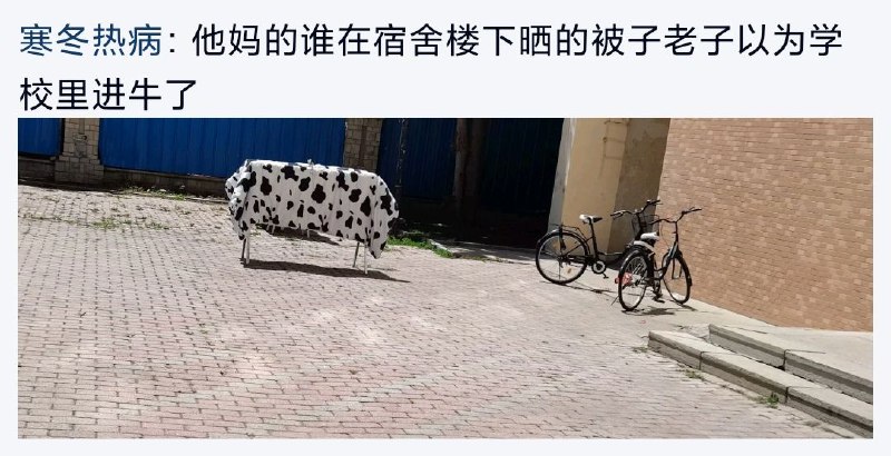 from rvalue的生草日常