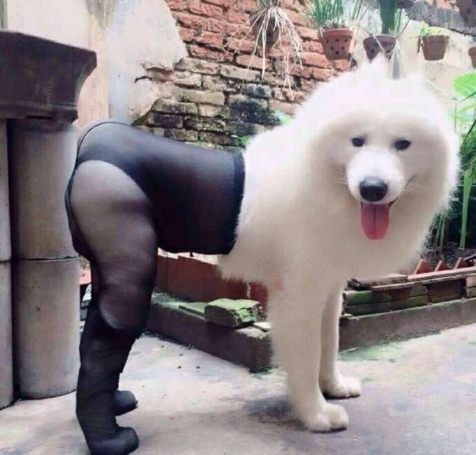 ？？？？？？