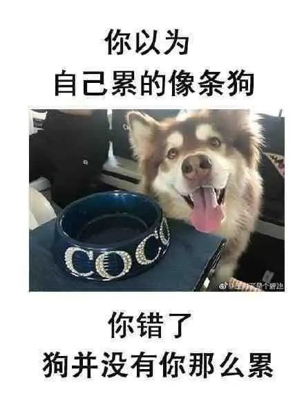 你以为……………你以为……………