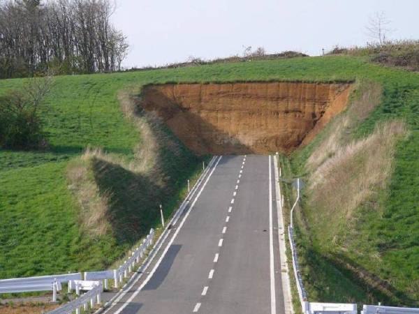 脑回路不正常