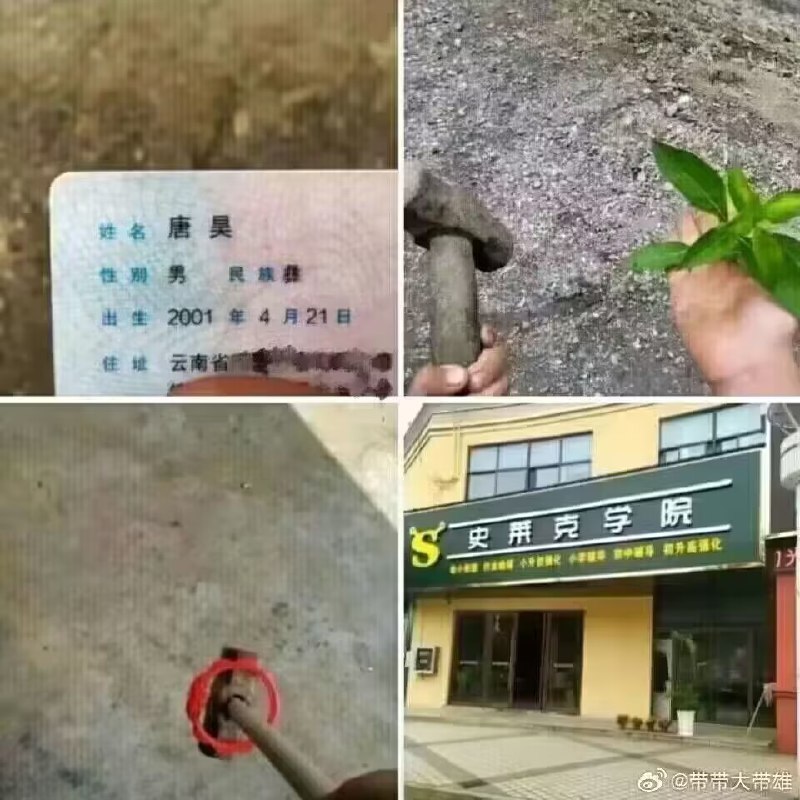 from 美图与沙雕｜____，启动！