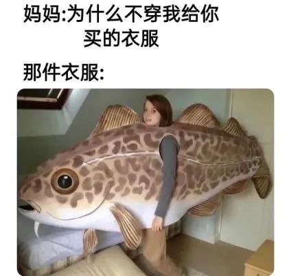 via 猫又云云