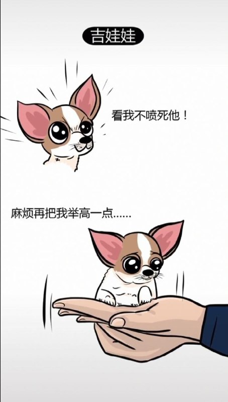 为什么有些狗不能做警犬 #精品为什么有些狗不能做警犬 #精品