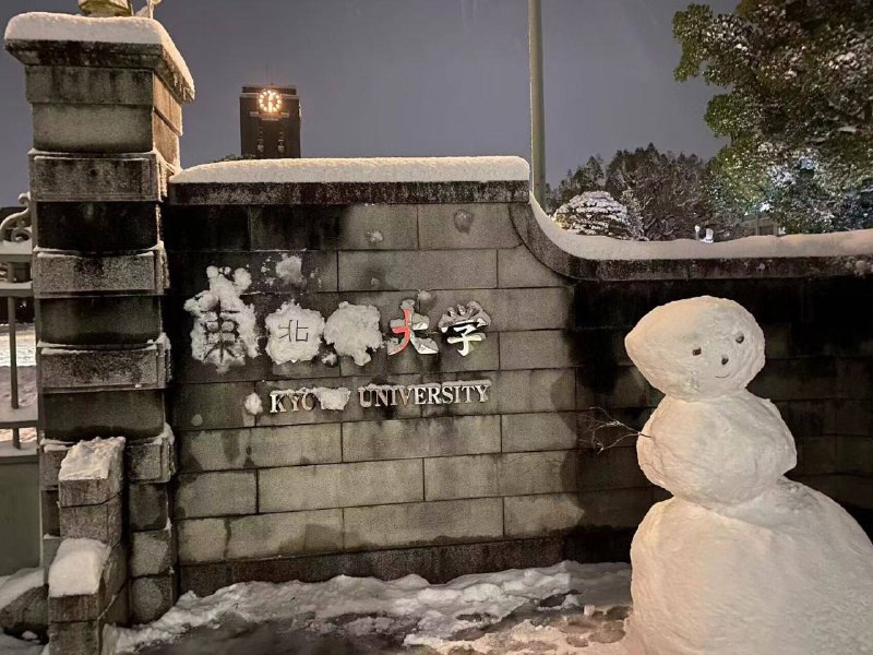 🤔️from 平壤卫视🤔️from 平壤卫视