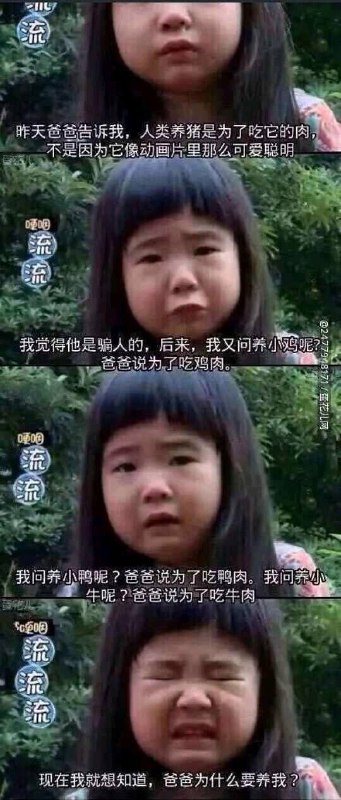 via 张某 犯罪嫌疑人