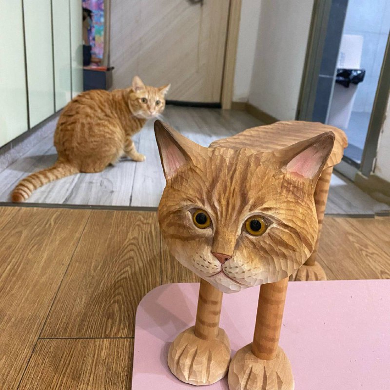 可爱🥰可爱🥰