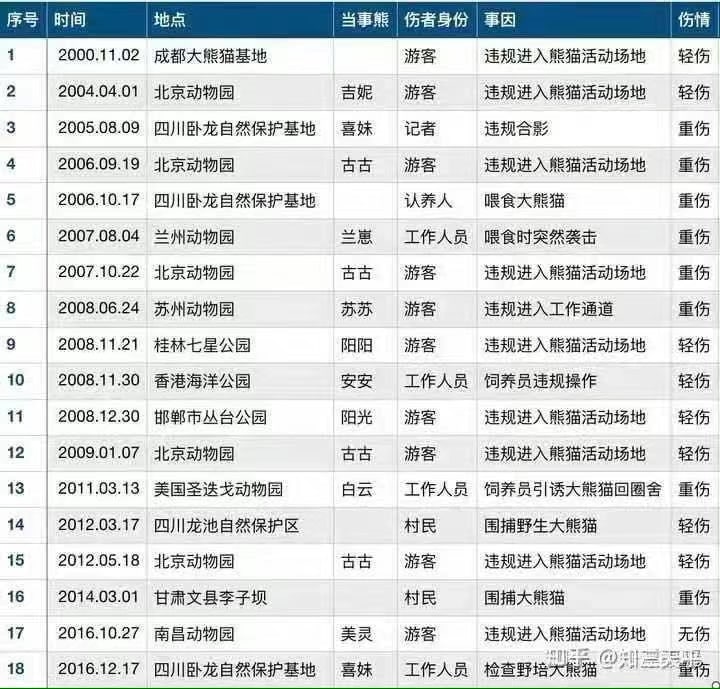 不要惹熊猫