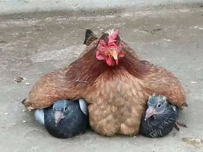 拍照鬼才拍照鬼才