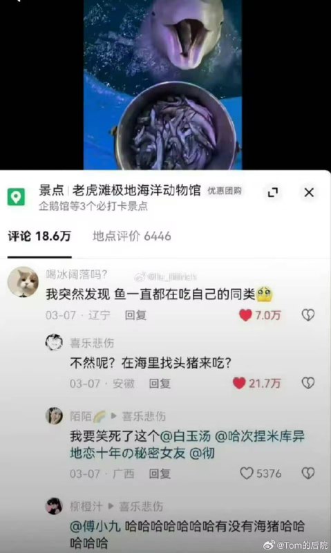 via 7号沙雕网友