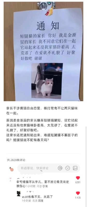 via Haiun Bccny