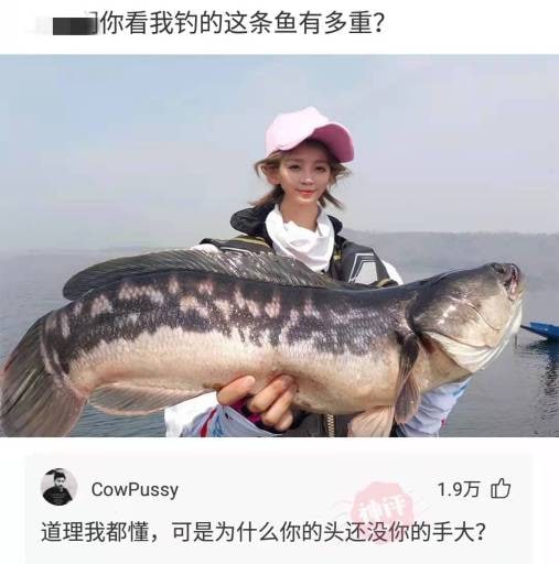 你的头没有手大