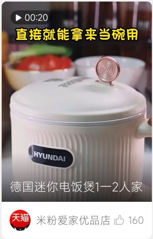 《德国》冷提醒：HYUNDAI为韩国品牌from TuskedE0's Channel via Pio Wonster