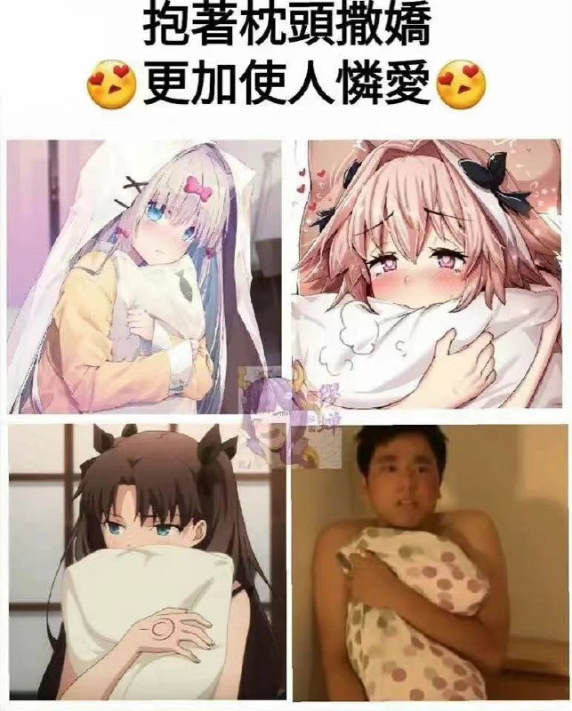 🥰from 平壤卫视
