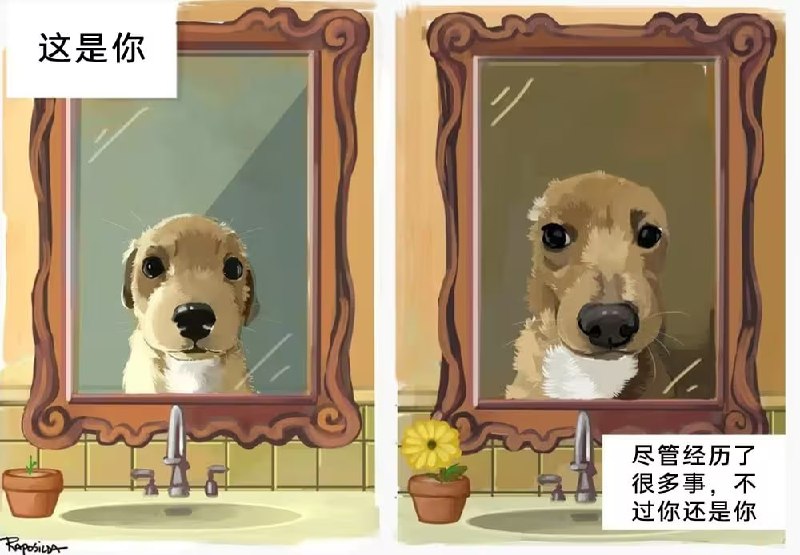 via 7号沙雕网友