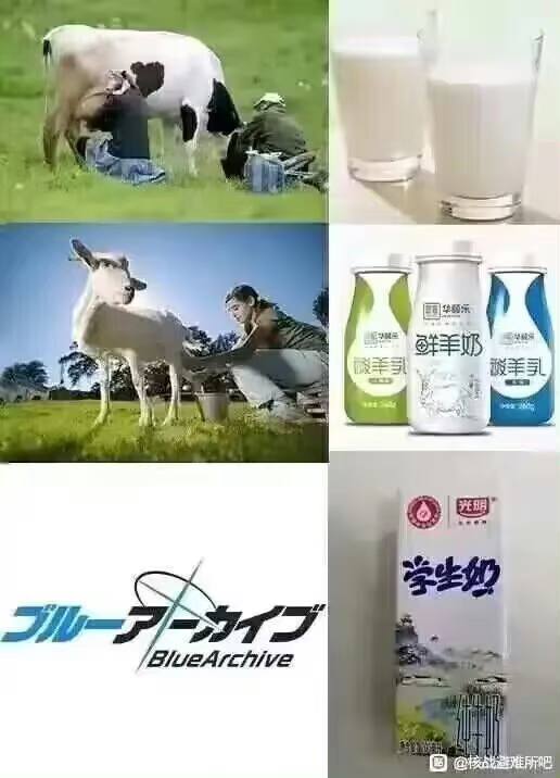 from 平壤卫视