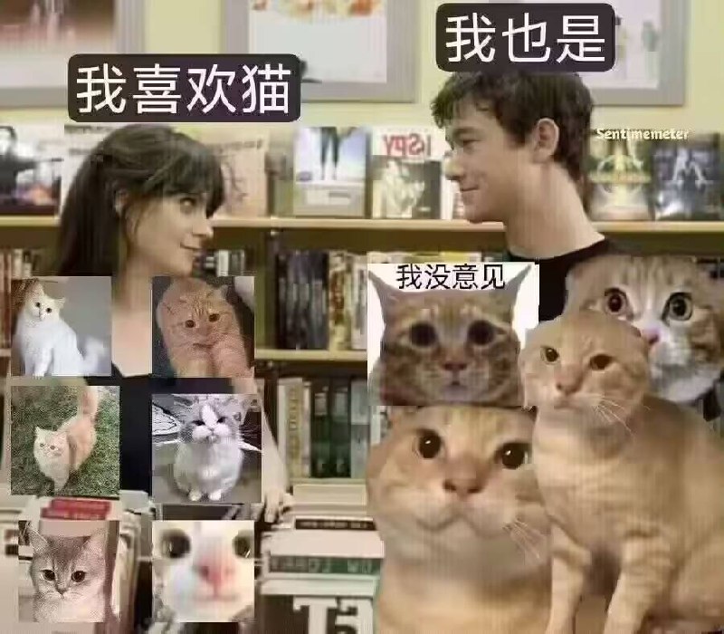 from 美图与沙雕