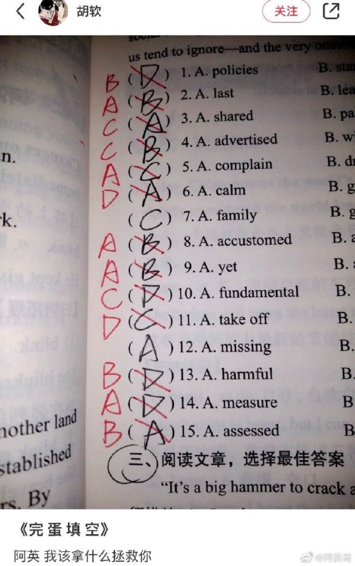 via 夏蜜柑