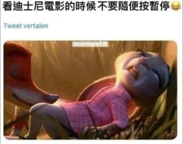 from 美图与沙雕