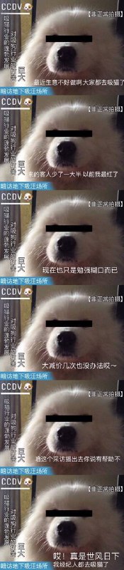 世风日下