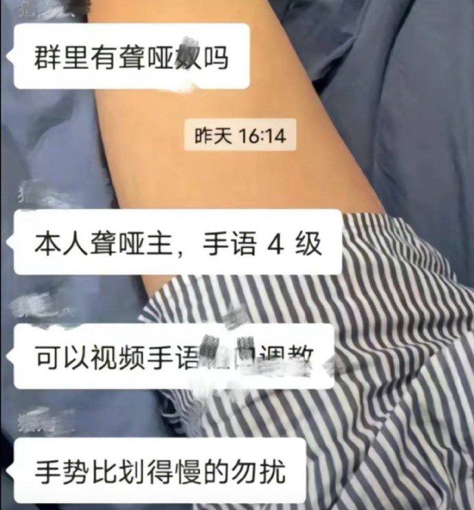 ？from 平壤卫视