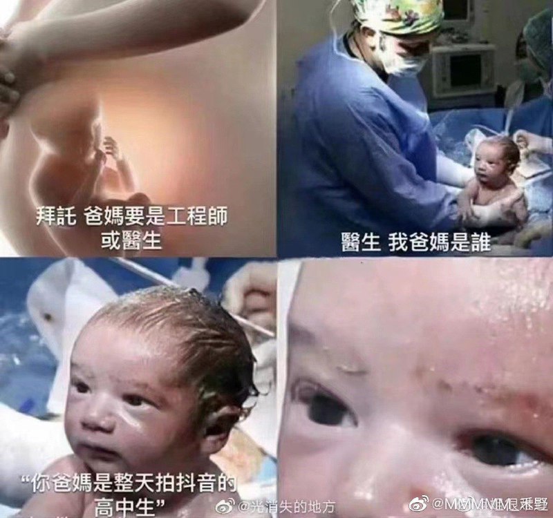 via 夏蜜柑