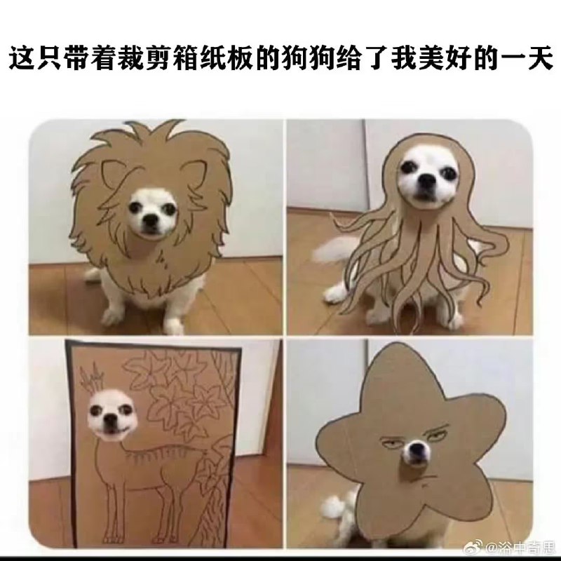via 7号沙雕网友