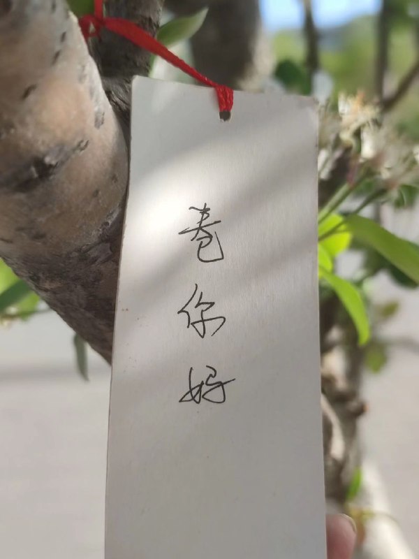 努力的背后是..from Foolish TraceWind努力的背后是..from Foolish TraceWind