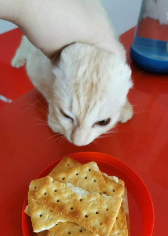 from 如何与沙雕相处from 如何与沙雕相处