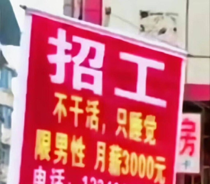 from 平壤卫视