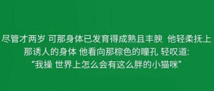 🤔from 平壤卫视