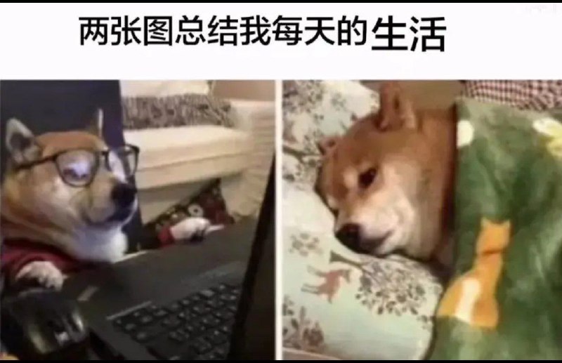 via 藤原妹紅 ilol.icu