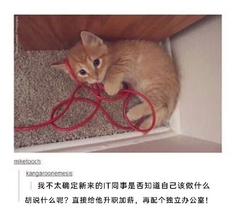 via 7号沙雕网友